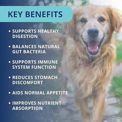 Under the Weather Pet Soft Dog Chew Supplements for Calming and Probiotics | Supports Relaxation and Normal Emotional Balance in Dogs (Probiotics, 120 Count)