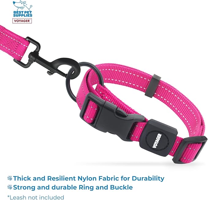 Best Pet Supplies Reflective Dog Collar with Adjustable Length, Heavy-Duty Buckle, and Strong Leash D-Ring, Training, Walking, Jogging Accessory for Small, Medium, and Large Breeds - Fuchsia, S