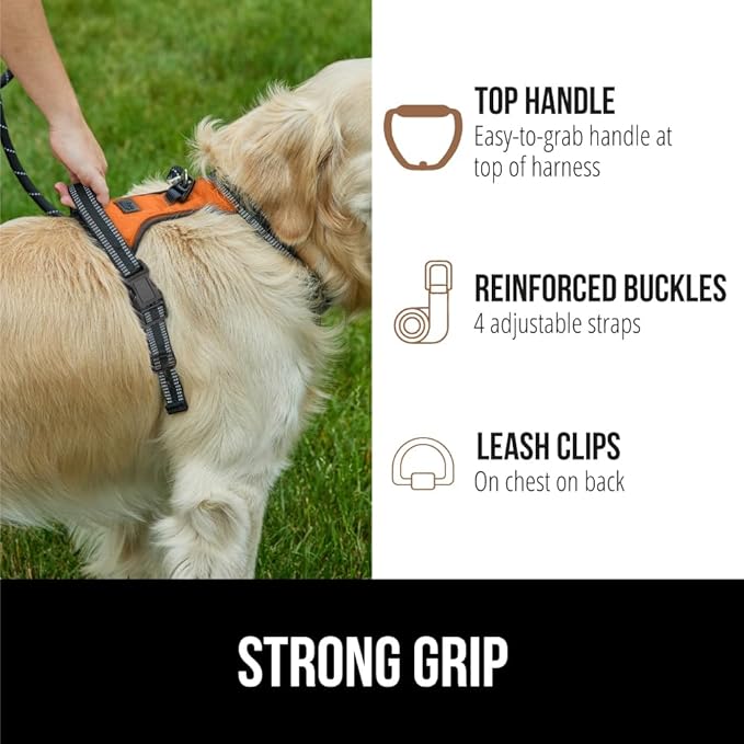 Gorilla Grip Comfortable Durable Dog Harness with Handle, Pet Leash Clips on Chest or Back for Walking, Padded Mesh Pets Vest, Adjustable Reflective Straps, Puppy Training, Orange