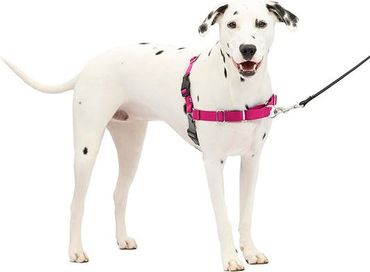 PetSafe Easy Walk Dog Harness - No Pull Dog Harness - Medium/Large, Raspberry