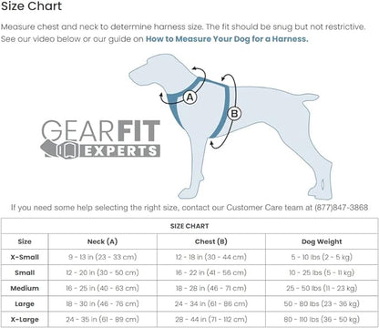 Kurgo Tru-Fit Smart Harness, Dog Harness, Pet Walking Harness, Quick Release Buckles, Front D-Ring for No Pull Training, includes Dog Seat Belt Tether (Black, Medium)
