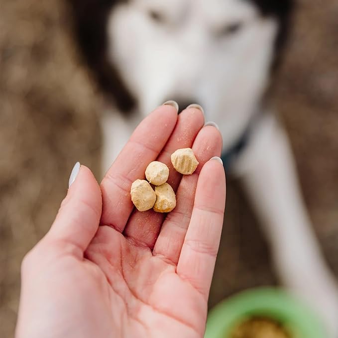 Only Natural Pet Raw Toppers Skin & Coat - Protein Packed, Great Tasting Freeze Dried Raw Food Topper for Dogs - 5.5 OZ Bag 2 Pack