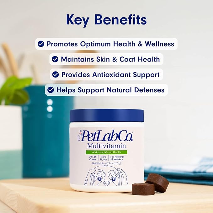 PetLab Co. 22 in 1 Dog Multivitamin - Support Dog's Immune Response, Skin, Coat, Joints & Overall Health - Vitamins A, E, D, B12, Minerals, Antioxidants - Chewable Pork Flavor