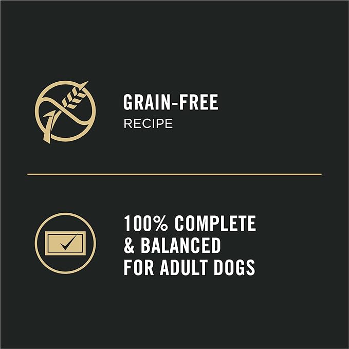 Purina Pro Plan Wet Dog Food for Small Dogs, Adult Small Breed Chicken Entree High Protein Dog Food - (Pack of 12) 3.5 oz. Trays