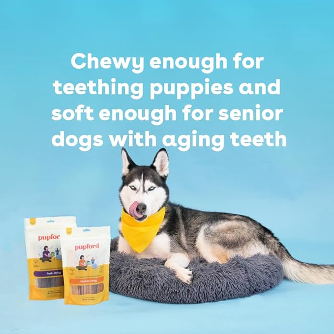 Pupford Chicken Jerky for Dogs & Puppies, All-Natural, Healthy Dog Treats, No Fillers, Made in USA (10 oz)