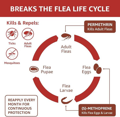 Amazon Basics Flea and Tick Topical Treatment for X-Large Dogs (89-132 lbs), 6 Count (Previously Solimo)