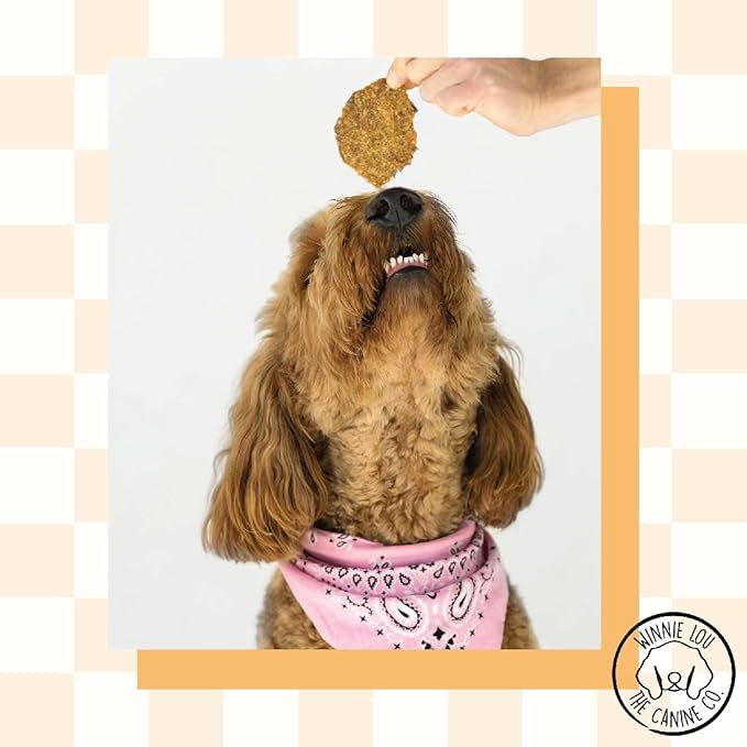 WINNIE LOU Jerky Organic Jerky Dog Treats Made in The USA – Human Grade Dog Treats – Dog Jerky Treats – All Natural Dog Treats – Healthy Dog Treats (Turkey Jerky)