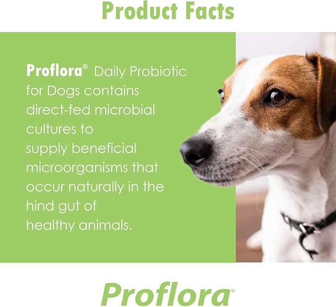 Probiotic for Dogs - Healthy Digestion - Boost Immune System - Normal Bowel Function - Skin and Coat Health - Supplement for GI Tract - 90 Servings, 3-PACK