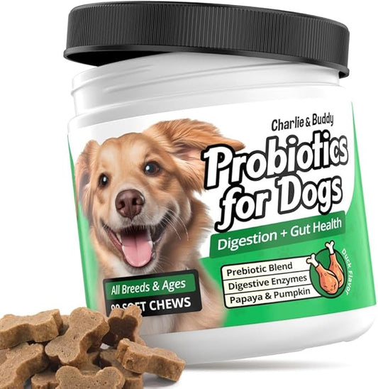 Probiotics for Dogs, Gut Hеаlth and Digestive Support