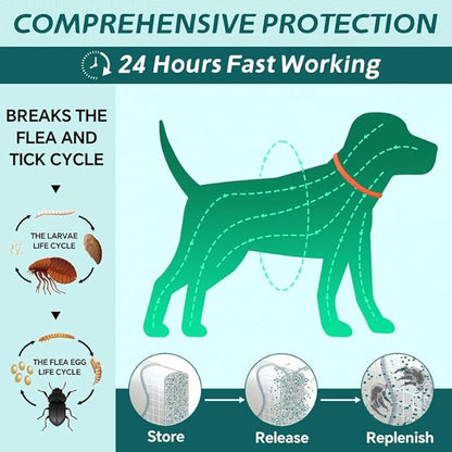 4 Pack Flea Collar for Dogs, Natural Flea and Tick Collar for Dogs, 8 Months Flea and Tick Prevention for Dogs, Tick Collar for Dogs, Water Resistant Dog Flea Collar, One Size Fits All, Orange