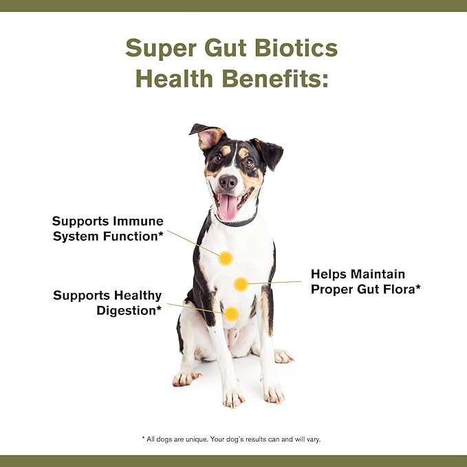 by Katherine Heigl- Super Gut Biotics Canine Digestive Supplement,Probiotics, Prebiotics, Supports Healthy Digestion, Immune System Function and Gut Flora (30 Scoops)