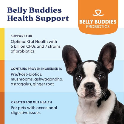 Belly Buddies Probiotics for Dogs, 5 Billion CFUs Prebiotics & Probiotics for Gut Health, 7 Strain Probiotic Blend, Immune Support, for All Dogs, Bacon Flavor, 90 Soft Chews