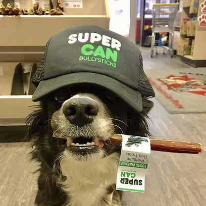Supercan Bully Sticks for Dogs 12" (5 Count) -100% Natural Farm Raised Beef Dog Chews. Free Range Grass Fed Non-GMO Treats for Dogs