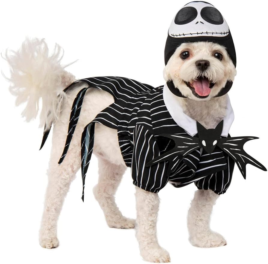 Rubie's Disney: Nightmare Before Christmas Pet Costume, Jack Skellington, X-Large (200184LXL_XL)