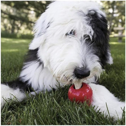 KONG Stuff'n Ziggies - Adult Dogs Original Recipe (Small - 7 oz) - Pack of 3