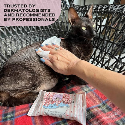 Wet wipes with Panthenol for sphynx cat for everyday use (24Pack/360Count)