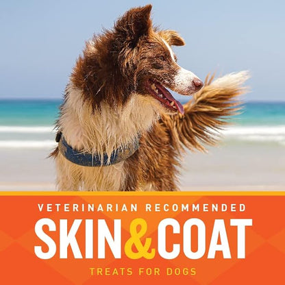 VetIQ Skin and Coat Supplement for Dogs, Helps Maintain Healthy Skin and Shiny Coat, Hickory Smoke Flavor Dog Chew, Made in The USA, 60 Count