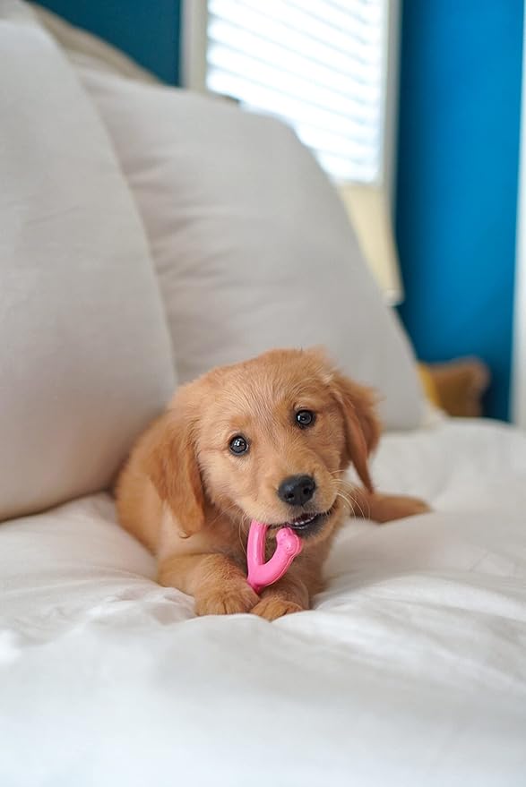 Nylabone Puppy Wishbone Chew Toy - Puppy Chew Toy for Teething - Puppy Supplies - Pink, Chicken Flavor, X-Small/Petite (1 Count)