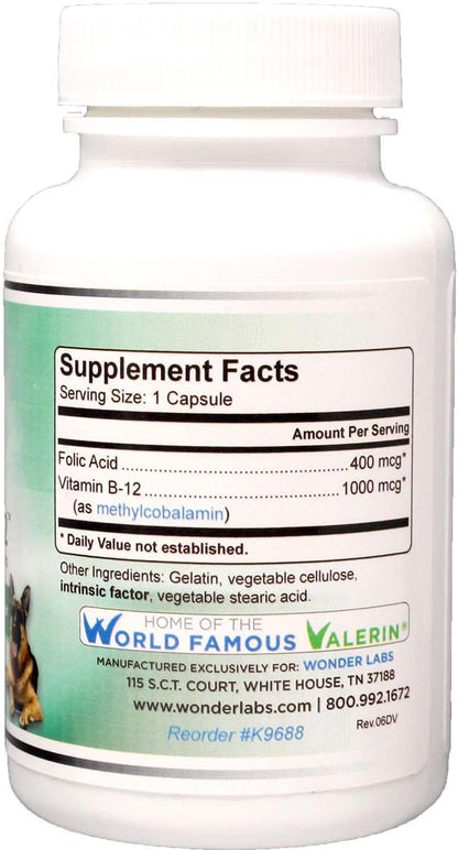 Pet Factor B-12 | Vitamin B-12 in Methylcobalamin Form | Popular in Treatment of EPI in Dogs 180 Capsules