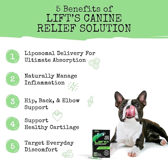 Summit Animal Lift Canine Pain Relief Health Supplement - Inflammation Hip & Joint Support Vitamin, All Natural Liquid Chrondroitin with Liposomal Delivery for Arthritis (Small Dogs Under 25lbs)
