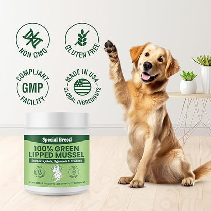 Green Lipped Mussels for Dogs & Cats - Premium Joint Supplement Powder for HIPS, Joints, and Muscles (300 Grams, Up to 1,000 Servings) - 2 Pack
