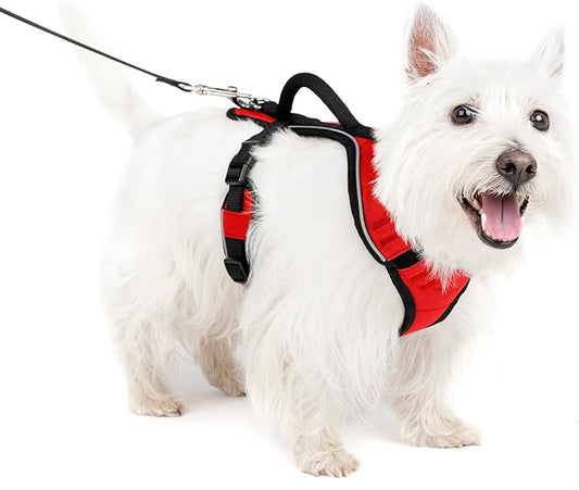 PetSafe EasySport Dog Harness – Adjustable Padded Dog Harness with Control Handle and Reflective Piping – Small, Red