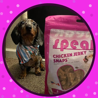 Chicken Jerky Snaps, Gluten and Grain Free Low Calorie Training Treat Snacks with Pumpkin, Perfect for Dogs 14 Ounces