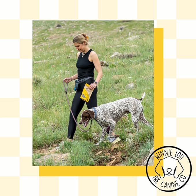 WINNIE LOU Jerky Organic Jerky Dog Treats Made in The USA – Human Grade Dog Treats – Dog Jerky Treats – All Natural Dog Treats – Healthy Dog Treats (Turmeric Bison Jerky)