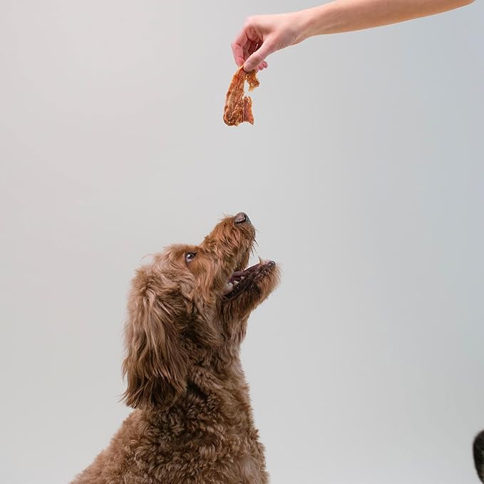 Pupford Chicken Jerky Treats for Dogs for Large & Small Dogs of All Ages | Made in USA, 100% Real Meat & No Fillers | Dogs Love These Tasty Dog Snacks (Chicken 8 oz)