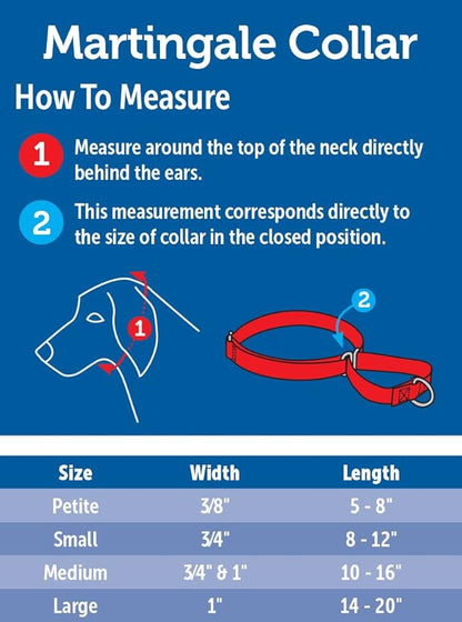 PetSafe Martingale Collar, 3/4" Medium, Red