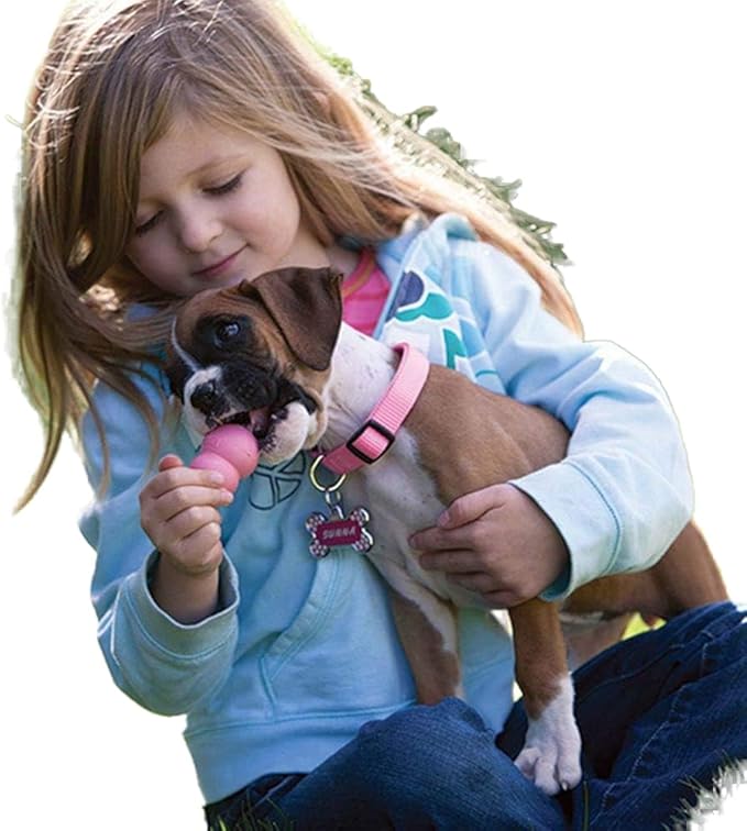 KONG Puppy KONG Dog Toy, Medium, Assorted Colors