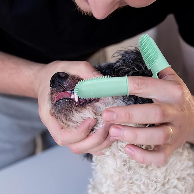 Dog Finger Toothbrush, 6 Pack Cat Toothbrushes, Two Finger Toothbrush for Pet's Dental Care Teeth Cleaning