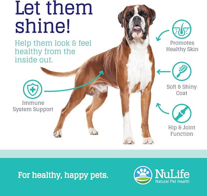 Omega Skin and Coat Chews for Dogs, Wild Salmon Dog Treats with Biotin & Vitamin E, Helps with Itchy Skin, Allergy Relief & Shedding, Omega 3 6 9, EPA & DHA Fatty Acids, Made in USA, 120 Chews