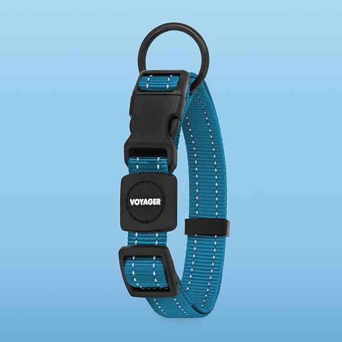 Voyager Reflective Dog Leash Collar Set with Neoprene Handle Supports Small, Medium, and Large Breed Puppies, Cute and Heavy Duty for Walking, Running, and Training - Turquoise, M