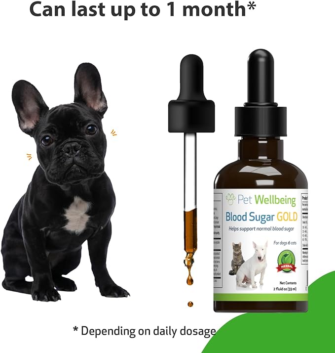 Pet Wellbeing Blood Sugar Gold for Dogs - Vet-Formulated - Supports Blood Sugar Balance, Healthy Pancreas & Liver - Natural Herbal Supplement 2 oz (59 ml)