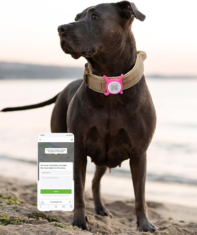 Joytale [ NO APP Required ] Silent Silicone QR Code Dog Tag, Slide On Dog Tags for 1.2-1.6Inch Collars or Vest, NFC Pet Online Profile, Scan QR to Send Location Alert Email, Hot Pink, L