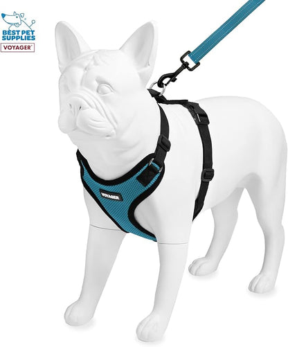 Voyager Step-in Lock Dog Harness w Reflective Dog Leash Combo Set with Neoprene Handle 5ft - Supports Small, Medium and Large Breed Puppies/Cats by Best Pet Supplies - Turquoise/Black Trim, L