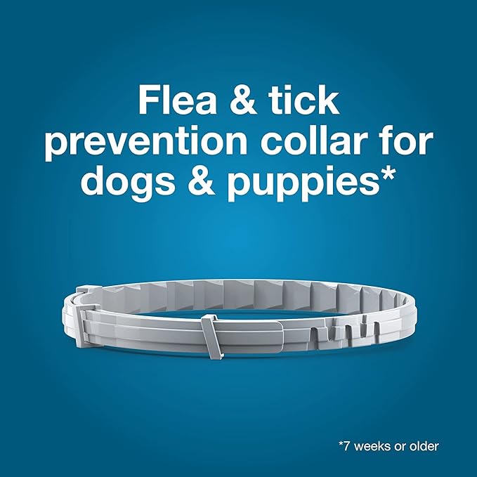 Seresto Flea Tick Collar 1 Large Dog + 1 Small Dog