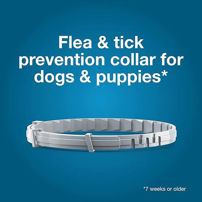Seresto Flea Tick Collar 1 Large Dog + 1 Small Dog