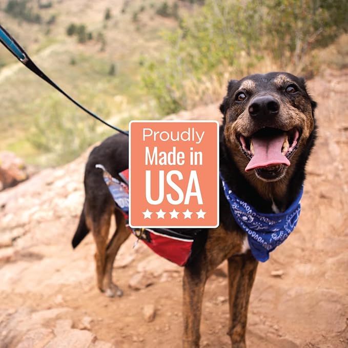 Salmon Jerky Dog Treats - DHA, Omega Strips for Dogs & Puppies with Allergies, Sensitive Stomachs with Wild Caught Alaskan Salmon- Dehydrated, Grain Free, Made in USA - 3oz Bag, Pack of 3