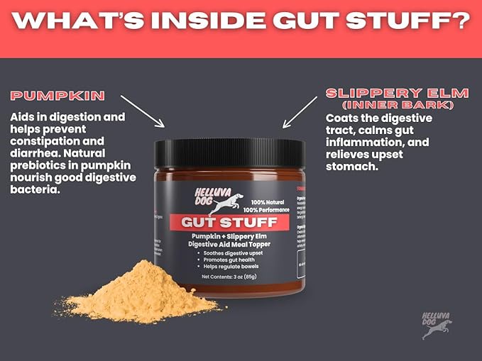 GUT STUFF by Helluva Dog — Digestive Aid Meal Topper for Active Sporting Dogs — Pumpkin & Slippery Elm for Dog's Upset Stomach & Better Gut Health, Packed with Fiber - 3oz