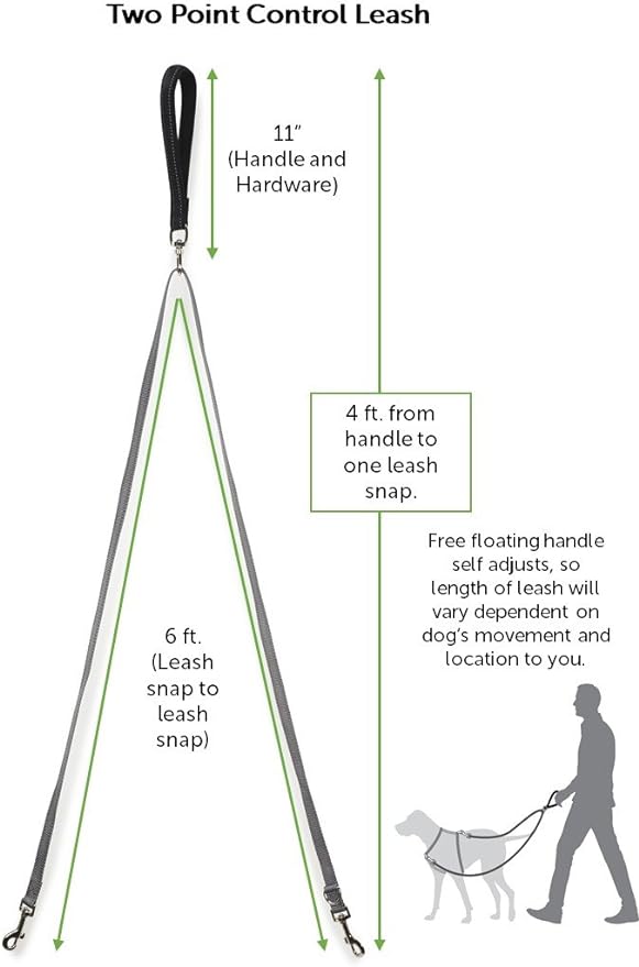 PetSafe Two Point Control Leash, Padded and Reflective Nylon Leash Converts to Single Leash, Works with 3in1 Harnesses, 3/4 in. Wide Leash