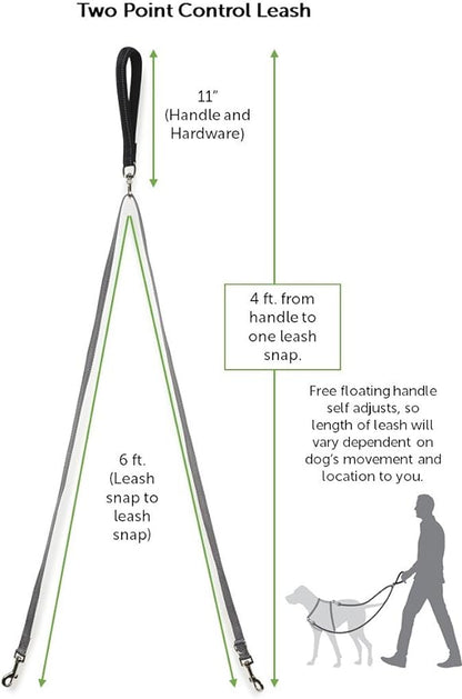 PetSafe Two Point Control Leash, Padded and Reflective Nylon Leash Converts to Single Leash, Works with 3in1 Harnesses, 3/4 in. Wide Leash