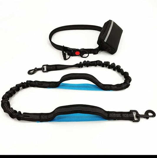 Hands Free Dog Leash with Zipper Pouch, Dual Padded Handles and Durable Bungee for Walking, Jogging and Running Your Dog, Waist Belt Dog Leash, Reflective Running Traction (Blue)