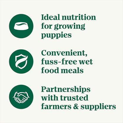NUTRO PUPPY Grain Free Natural Wet Dog Food Bites in Gravy, Tender Chicken, Sweet Potato & Pea Recipe, 3.5 oz. Trays (Pack of 24)