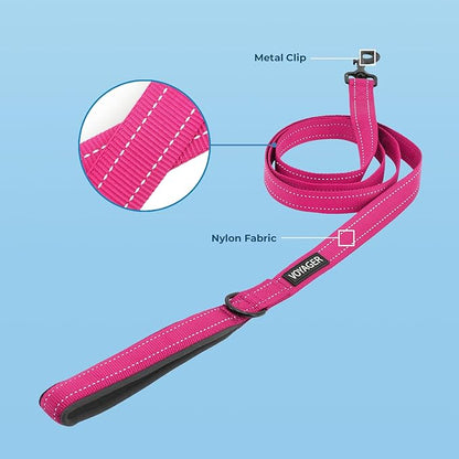 Voyager Reflective Dog Leash Collar Set with Neoprene Handle Supports Small, Medium, and Large Breed Puppies, Cute and Heavy Duty for Walking, Running, and Training - Fuchsia, M
