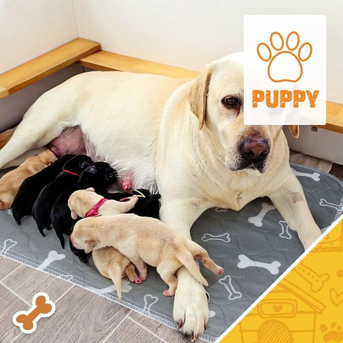 2pack Washable Pee Pads for Dogs, 41×36 Inch Reusable Dog Pads, Non Slip Puppy Pads with Urine Absorption, Reusable Puppy Pads for Whelping, Potty, Training, Playpen