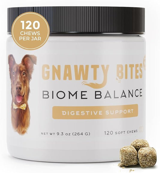 Gnawty Bites Biome Balance | Dog Digestive Support, 120 Soft Chews for Intestinal Balance Support | Dog Probiotics with Amylase, Protease, Lipase, and Lactobacillus | Probiotics for Dogs | (264 G)