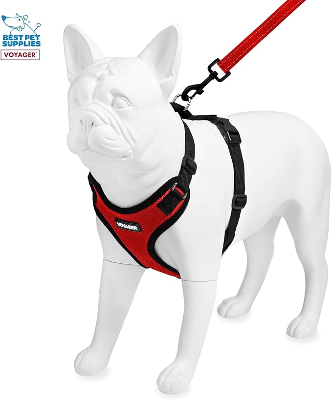 Voyager Step-in Lock Dog Harness w Reflective Dog Leash Combo Set with Neoprene Handle 5ft - Supports Small, Medium and Large Breed Puppies/Cats by Best Pet Supplies - Red/Black Trim, XL