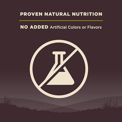 Wellness Natural Pet Food CORE Grain-Free High-Protein Small Breed Dry Dog Food, Natural Ingredients, Made in USA with Real Meat (Adult, Healthy Weight, 12-Pound Bag)